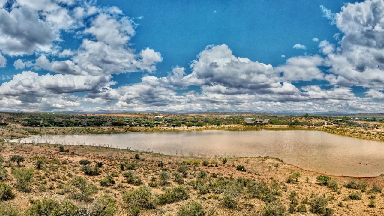 Buffelsdrift Game Lodge Oudtshoorn Exterior foto